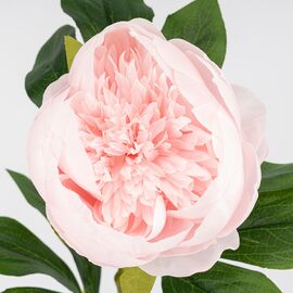 Искусственный пион, нежно-розовый, 70 см, изображение 3 ᐒ купить на  ❤ Like7km.com.ua