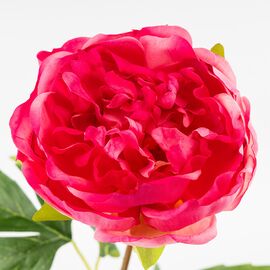 Искусственный пион с эффектом живого прикосновения, кремово-розовый, 60 см, изображение 2 ᐒ купить на  ❤ Like7km.com.ua