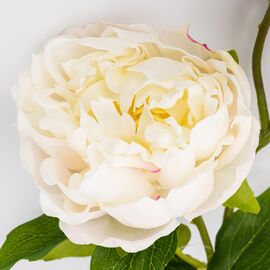 Искусственный пион с 3 бутонами с эффектом живого прикосновения, белый, 80 см, изображение 2 ᐒ купить на  ❤ Like7km.com.ua