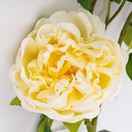 Искусственный пион с 3 бутонами с эффектом живого прикосновения, кремовый, 80 см, изображение 2 ᐒ купить на  ❤ Like7km.com.ua