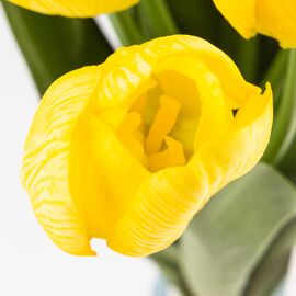 Букет тюльпанов с эффектом живого прикосновения, 9 бутонов, желтый, 45 см, изображение 3 ᐒ купить на  ❤ Like7km.com.ua