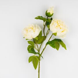 Искусственный пион с 3 бутонами с эффектом живого прикосновения, кремовый, 80 см, изображение 3 ᐒ купить на  ❤ Like7km.com.ua