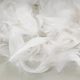 Наполнитель  "Жар-птица" *рандомный выбор цвета, изображение 9 ᐒ купить на  ❤ Like7km.com.ua