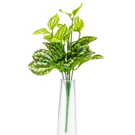 Ветка филодендрона, изображение 3 ᐒ купить на  ❤ Like7km.com.ua