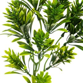 Ветка  тропическая, изображение 2 ᐒ купить на  ❤ Like7km.com.ua