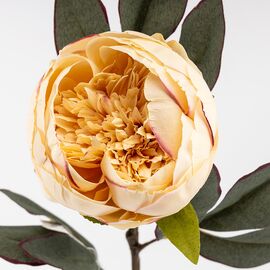 Искусственные пионы, кремовые, 66 см, изображение 4 ᐒ купить на  ❤ Like7km.com.ua