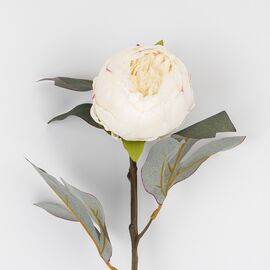 Искусственные пионы, кремовые, 65 см, изображение 3 ᐒ купить на  ❤ Like7km.com.ua