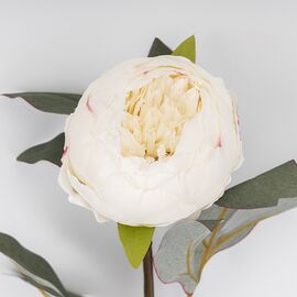 Искусственные пионы, кремовые, 65 см, изображение 4 ᐒ купить на  ❤ Like7km.com.ua