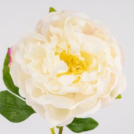 Искусственный пион с эффектом живого прикосновения, белый, 60 см, изображение 2 ᐒ купить на  ❤ Like7km.com.ua