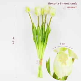 Букет латексных тюльпанов, 5 бутонов, бело-зеленый, 45 см ᐒ купить на  ❤ Like7km.com.ua