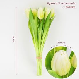 Букет латексных тюльпанов, 7 бутонов, бело-зеленый, 31 см ᐒ купить на  ❤ Like7km.com.ua