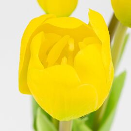 Букет латексных тюльпанов, 5 бутонов, желто-зеленый, 45 см, изображение 3 ᐒ купить на  ❤ Like7km.com.ua