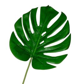 Лист мостеры 82 см, изображение 2 ᐒ купить на  ❤ Like7km.com.ua