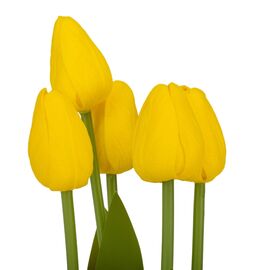 Букет тюльпанов "Рапсодия", желтый, 25,5 см, изображение 2 ᐒ купить на  ❤ Like7km.com.ua