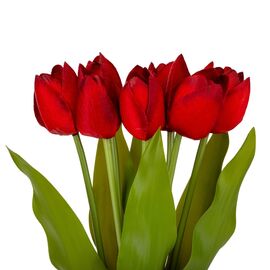 Букет тюльпанов "Красочность", красный, 40 см, изображение 2 ᐒ купить на  ❤ Like7km.com.ua