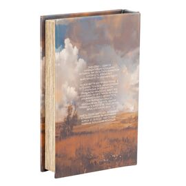 Книга-сейф "Иван Сирко", изображение 3 ᐒ купить на  ❤ Like7km.com.ua