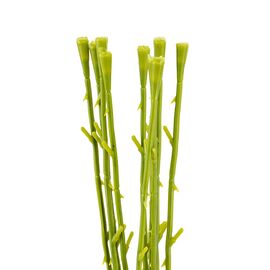 Флористическая основа "Стебель", 45 см, изображение 2 ᐒ купить на  ❤ Like7km.com.ua