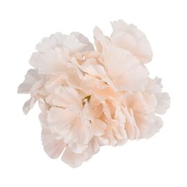 Головка гортензии, кремовая, 16 см, изображение 2 ᐒ купить на  ❤ Like7km.com.ua