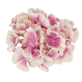 Головка гортензии, кремово-сиреневая, 16 см, изображение 2 ᐒ купить на  ❤ Like7km.com.ua