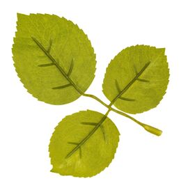 Искусственные листья розы, зелёные, 250 г, изображение 3 ᐒ купить на  ❤ Like7km.com.ua