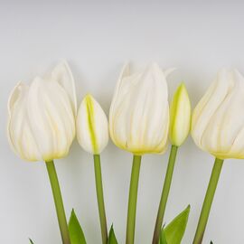 Букет латексных тюльпанов, 5 бутонов, белый, 50 см, изображение 2 ᐒ купить на  ❤ Like7km.com.ua