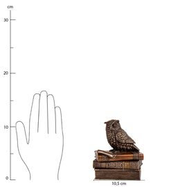 Шкатулка "Мудрая сова" (11 см) VERONESE, изображение 7 ᐒ купить на  ❤ Like7km.com.ua