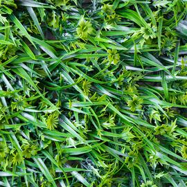 Искусственный фитомодуль "Цветочный луг", 60*41 см СПАСЕННАЯ ПОЗИЦИЯ, изображение 5 ᐒ купить на  ❤ Like7km.com.ua