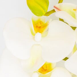 Латексная орхидея, кремовая, 86 см СПАСЕННАЯ ПОЗИЦИЯ, изображение 3 ᐒ купить на  ❤ Like7km.com.ua