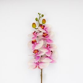 Латексная орхидея, бело-розовая, 86 см СПАСЕННАЯ ПОЗИЦИЯ, изображение 2 ᐒ купить на  ❤ Like7km.com.ua