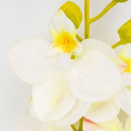 Латексная орхидея, белая, 72 см СПАСЕННАЯ ПОЗИЦИЯ, изображение 3 ᐒ купить на  ❤ Like7km.com.ua