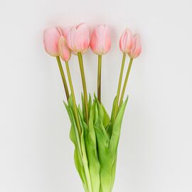 Букет латексных тюльпанов, 7 бутонов, нежно-розовый, 48 см, изображение 2 ᐒ купить на  ❤ Like7km.com.ua