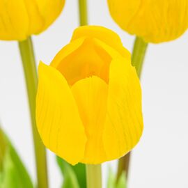 Букет латексных тюльпанов, 7 бутонов, желтый, 48 см, изображение 3 ᐒ купить на  ❤ Like7km.com.ua