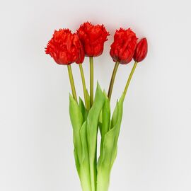 Букет латексных тюльпанов, 5 бутонов, красный, 44 см, изображение 2 ᐒ купить на  ❤ Like7km.com.ua