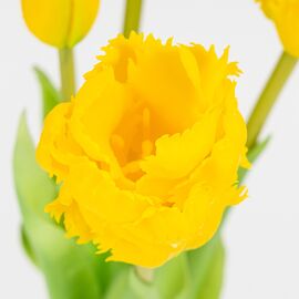 Букет латексных тюльпанов, 5 бутонов, желтый, 44 см, изображение 3 ᐒ купить на  ❤ Like7km.com.ua