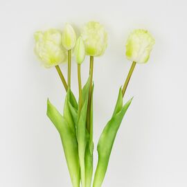 Букет латексных тюльпанов, 5 бутонов, бело-зеленый, 44 см, изображение 2 ᐒ купить на  ❤ Like7km.com.ua