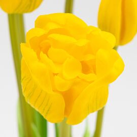Букет латексных тюльпанов, 5 бутонов, желтый, 49 см, изображение 3 ᐒ купить на  ❤ Like7km.com.ua