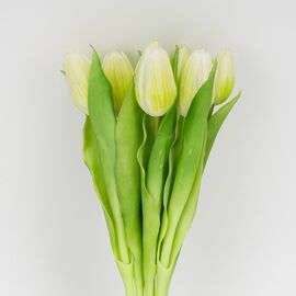 Букет латексных тюльпанов, 7 бутонов, бело-зеленый, 31 см, изображение 2 ᐒ купить на  ❤ Like7km.com.ua