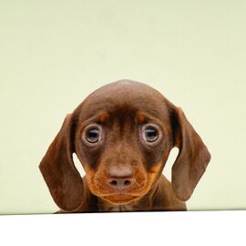 Набор коробок "Друг детства" 3 шт, изображение 2 ᐒ купить на  ❤ Like7km.com.ua