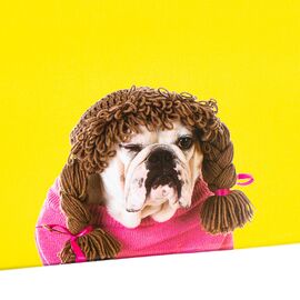 Набор коробок "Веселая компания" 3 шт, изображение 3 ᐒ купить на  ❤ Like7km.com.ua