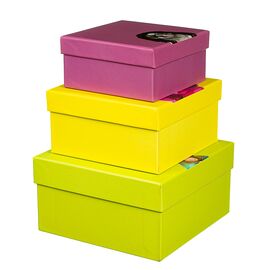 Набор коробок "Веселая компания" 3 шт, изображение 5 ᐒ купить на  ❤ Like7km.com.ua