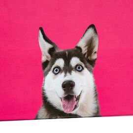 Набор коробок "Преданность" 3 шт, изображение 3 ᐒ купить на  ❤ Like7km.com.ua