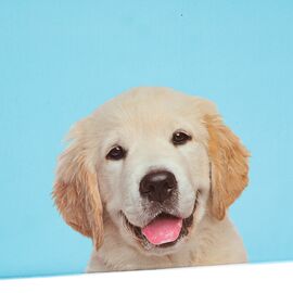 Набор коробок "Преданность" 3 шт, изображение 4 ᐒ купить на  ❤ Like7km.com.ua