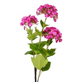 Гортензия "Магнит", розовая, 70 см, изображение 2 ᐒ купить на  ❤ Like7km.com.ua