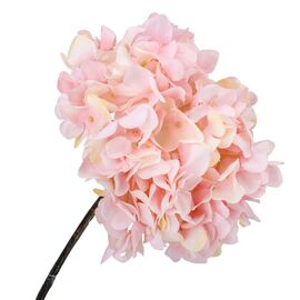 Гортензия "Анабель", розовая, 43 см, изображение 3 ᐒ купить на  ❤ Like7km.com.ua