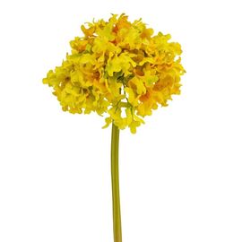 Цветок "Гортензия шаровидная" жёлтая, изображение 2 ᐒ купить на  ❤ Like7km.com.ua