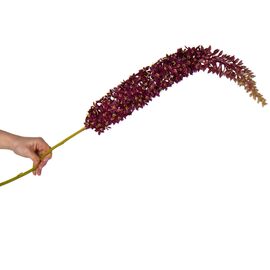 Дельфиниум (150 см), изображение 2 ᐒ купить на  ❤ Like7km.com.ua