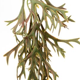 Искусственная ампельная ветвь, зелено-розовая, 80 см, изображение 2 ᐒ купить на  ❤ Like7km.com.ua