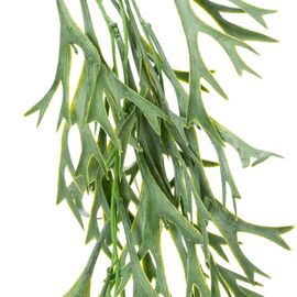 Искусственная ампельная ветвь, зеленая, 80 см, изображение 2 ᐒ купить на  ❤ Like7km.com.ua