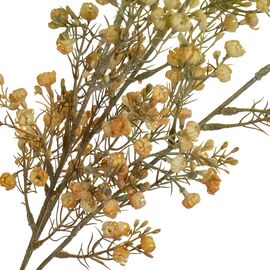 Ветка сухоцвета полевого жёлтая, изображение 2 ᐒ купить на  ❤ Like7km.com.ua