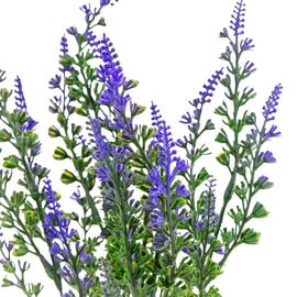 Букет лаванда, изображение 3 ᐒ купить на  ❤ Like7km.com.ua